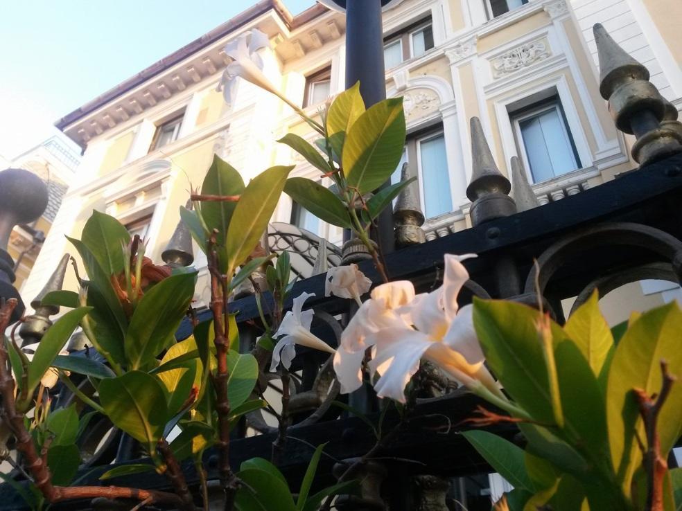 Ena Hotel Arenzano Exterior photo